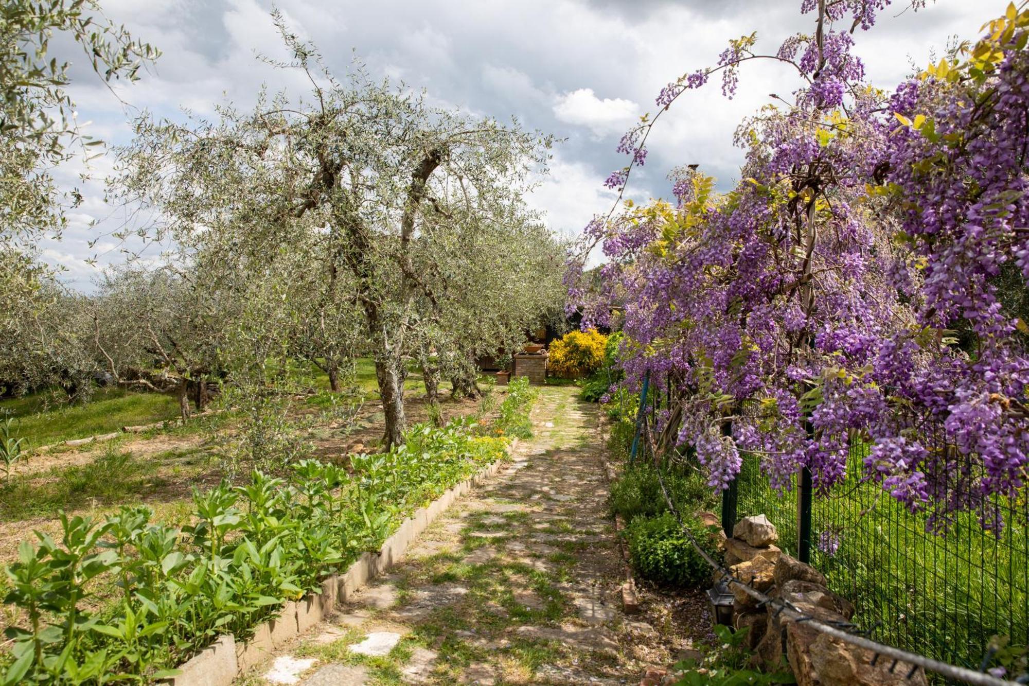 Il Poggio Dell'Eremita Rigomagno Exterior foto